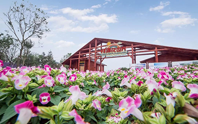 豪利777(中国)英超切尔西官方相助同伴