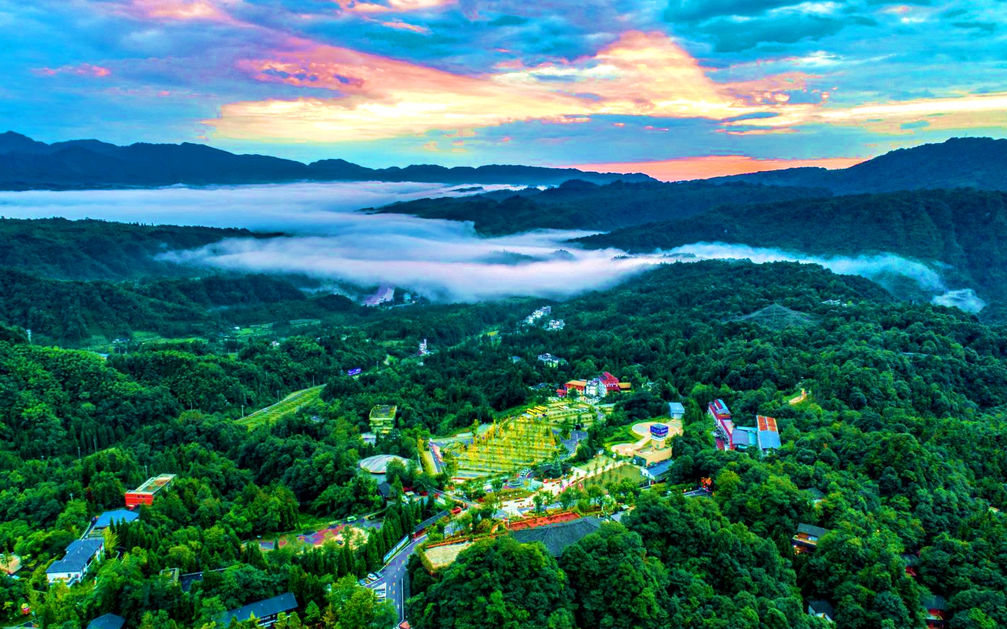 豪利777(中国)英超切尔西官方相助同伴