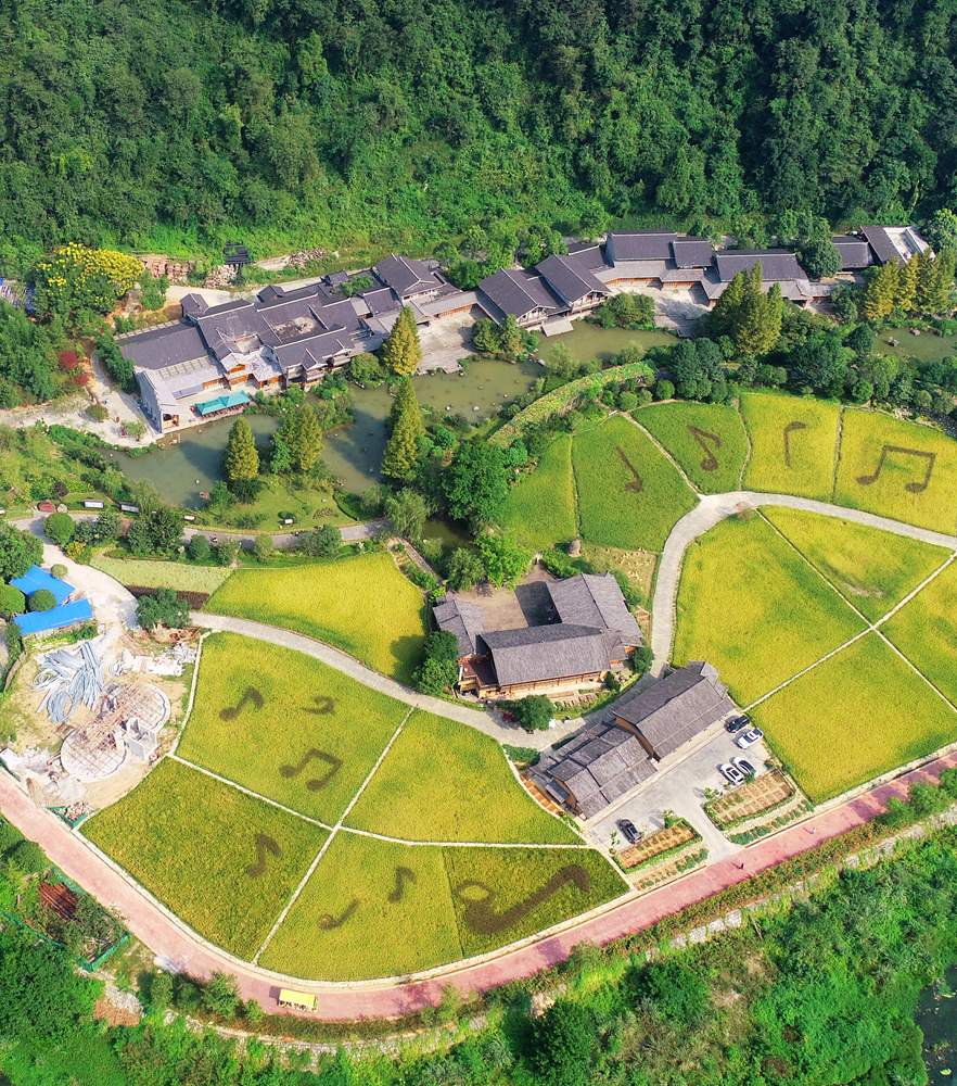 豪利777(中国)英超切尔西官方相助同伴